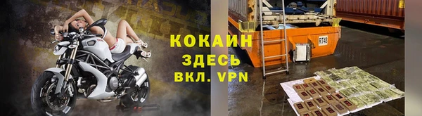 крисы Белокуриха