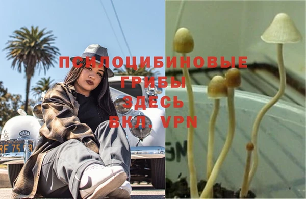 ECSTASY Белоозёрский