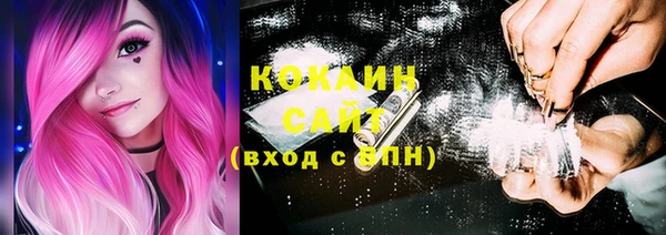 крисы Белокуриха