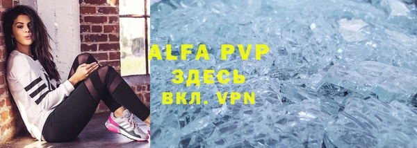 крисы Белокуриха